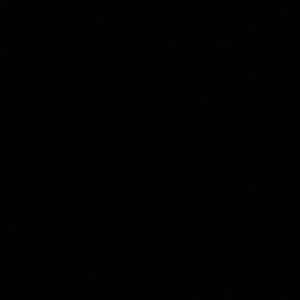 Meet your Posher, Iris